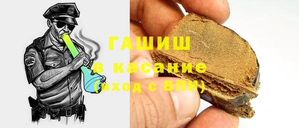 гидра Богородицк