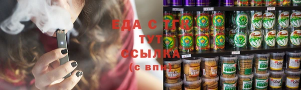 гидра Богородицк