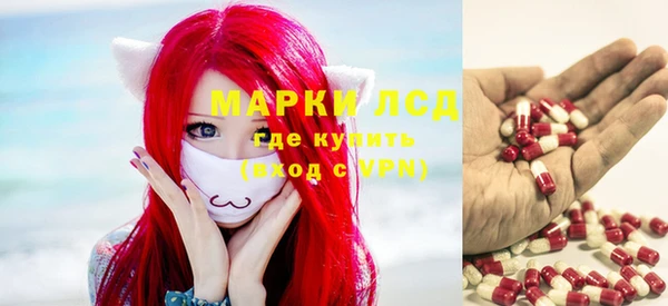 гидра Богородицк