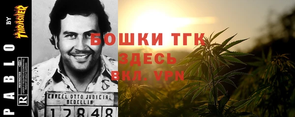 гидра Богородицк