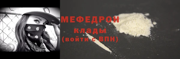 гидра Богородицк