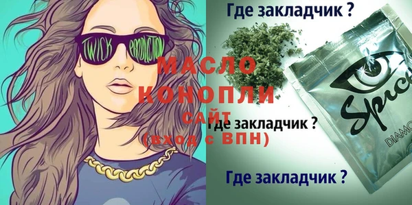 гидра Богородицк