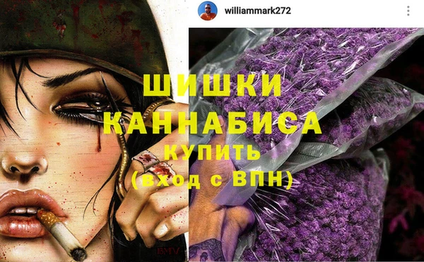 гидра Богородицк