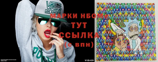 гидра Богородицк
