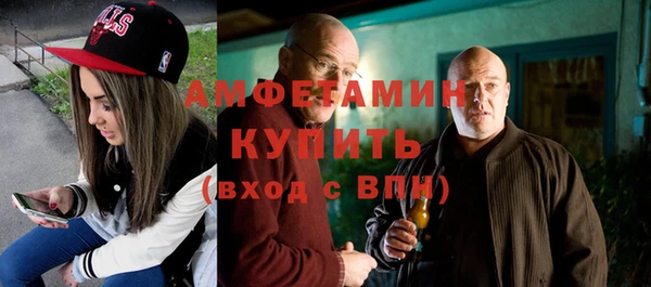 гидра Богородицк