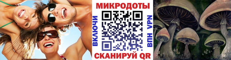 Галлюциногенные грибы мухоморы Купить Лысково